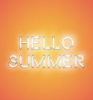 'HELLO SUMMER' - Realistic neon sign, vector illustration