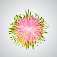 Colorful explodesflowers, vector illustration