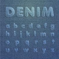 Conjunto de caracteres realizado por denim, a partir de una tipografía, vector. vector