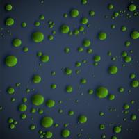 Realistic green bubbles, vector