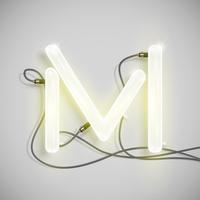 Realistic neon character from a typeset, vector illustration