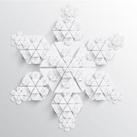 Abstract paper snowflake vector illustration
