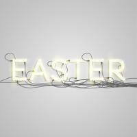 Neon electric word type, vector illustration
