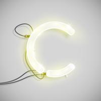 Realistic neon character from a typeset, vector illustration