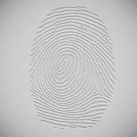 3D fingerprint illustration, vector