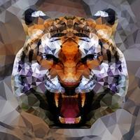 Low poly tiger design, vector illustration