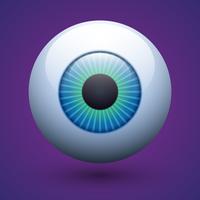 Vector Realistic Human Eyeball Illustration