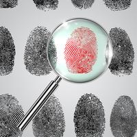 Fingerprint and a magnifier, vector
