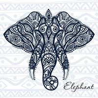 Vector drawing elephant with ethnic patterns of India.