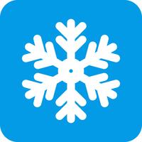 vector snow flake icon