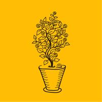 Image money tree in a pot. Simple drawing lines.