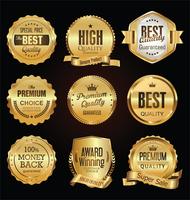 Luxury premium golden badges and labels vector