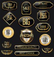 Luxury premium golden badges and labels vector