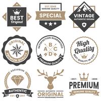 Vintage Retro Vector Logo for banner