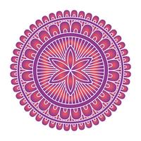 Mandala ornament vector image