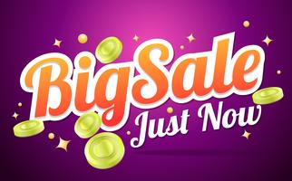 big sale template banner Vector background