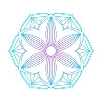 Mandala ornament vector image