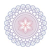 Mandala ornament vector image
