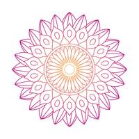 Mandala ornament vector image