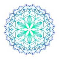 Mandala ornament vector image