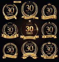 anniversary background vector