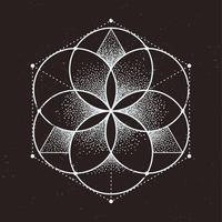 Sacred Geometry vector