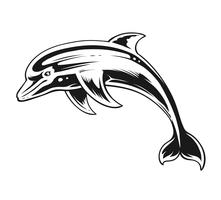 Dolphin Black and White Contrast Vector Art