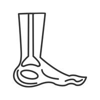 Foot x ray line black icon vector