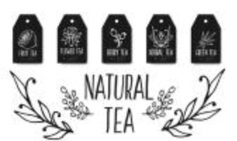 Herbal tea tags collection. Organic herbs and wild flowers. Hand sketched fruits  berries illustration. vector