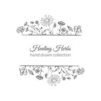 Holistic Medicine Card. Healing Herbs Illustration. vector