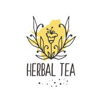 Herbal tea seamless pattern. vector