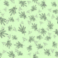Green tea seamless pattern