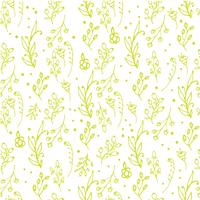 Herbal seamless pattern. vector