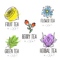 Herbal tea logo elements collection. Organic herbs and wild flowers. vector