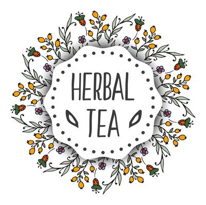 Herbal tea tags background. Round frame with herbs