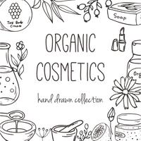 Background with cosmetic bottles. Organic cosmetics illustration. vector