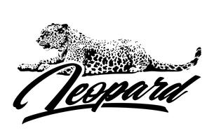 Diseño del vector del leopardo