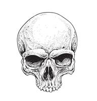 Dotwork Skull vector