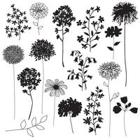 botanical silhouettes vector