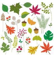 leaves clipart vector