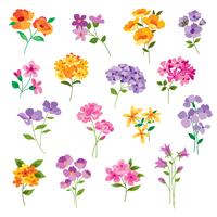  hand drawn vector flowers