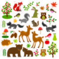  Woodland Animals Clipart	 vector