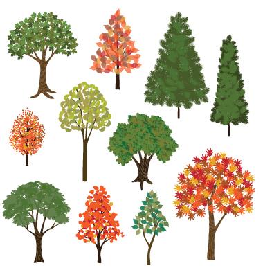 hand drawn trees