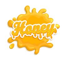 Honey label splash. vector