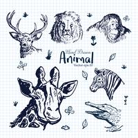 Dibujado a mano ilustración animal conjunto vector