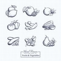 Dibujados a mano ilustración de frutas y verduras vector