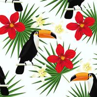 Tropical background with toucans and tropical leaves vector