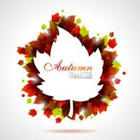 Autumn leaves background  vector