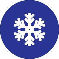 vector snow flake icon