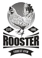 Fighting Rooster Design vector